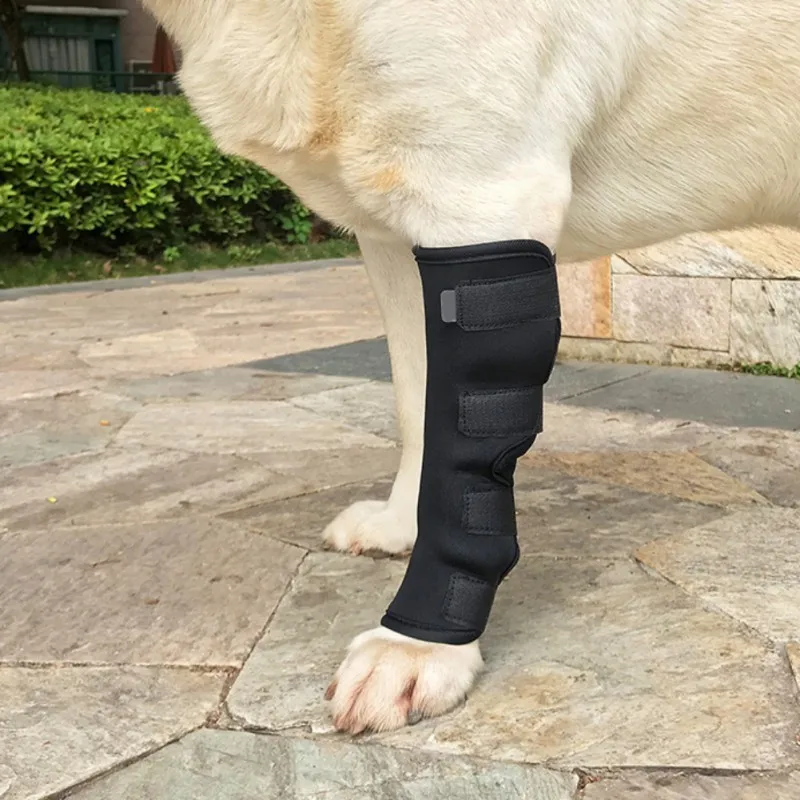 Для собак, помогает заживлять ранки, травма, защита для ног щенка, защита для ног, бинты, защитная накладка, компрессионная пленка для заднего сустава - Цвет: Черный