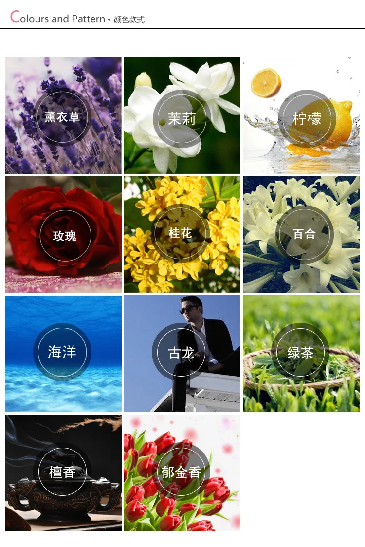 4566377493_1569334606