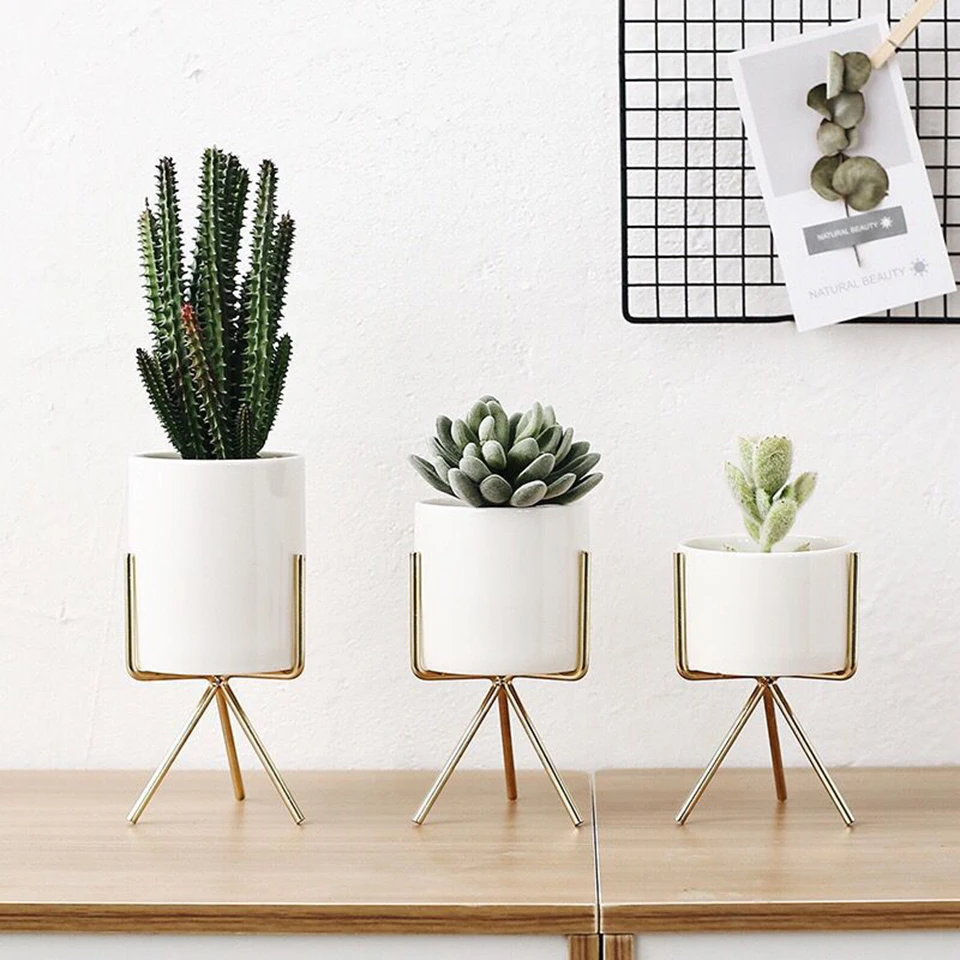 7planter