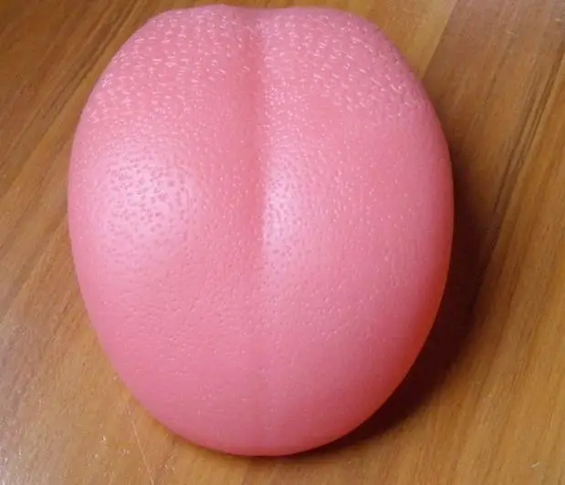 

High Simulation Human Tongue Model Oral Care Medical Teaching Model Human Torse Anatomical Model Science Educational Equipment