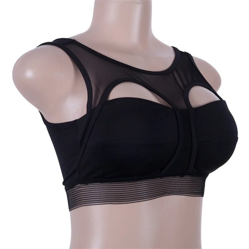 9117569039_1628540031