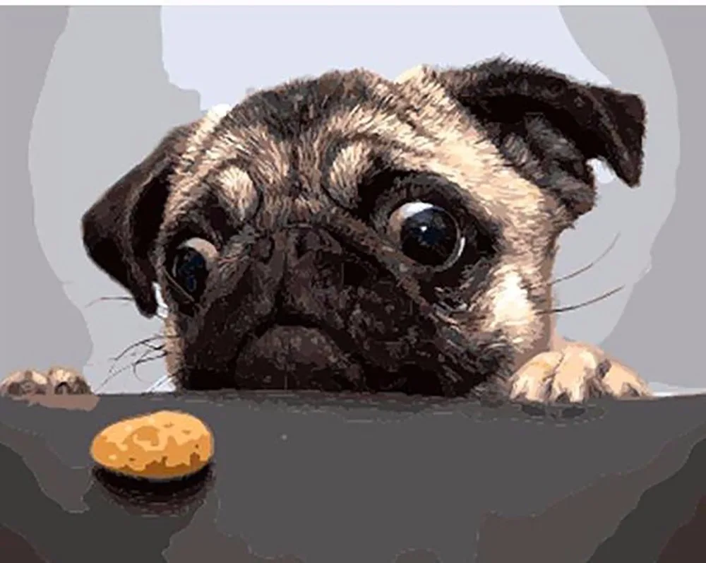 

Pug Dog Animal DIY Digital Painting By Number Modern Wall Art Canvas Painting Christmas Unique Gift Room Decor 40x50cm