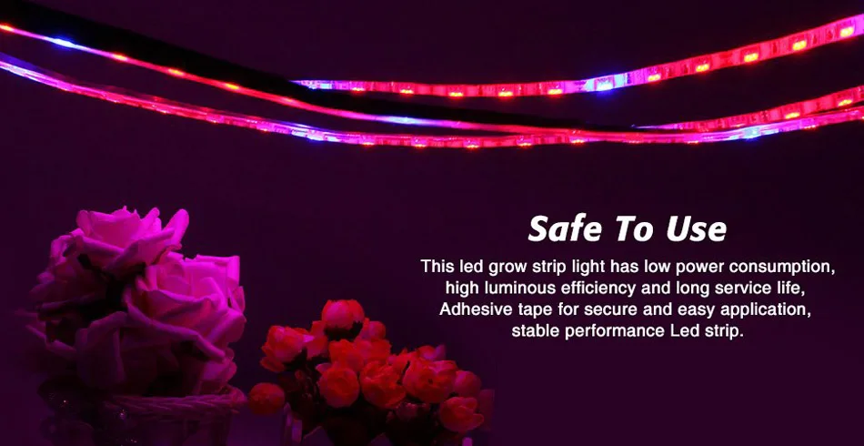 grows light