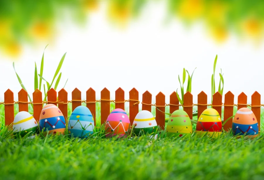Laeacco Фото фоны Весна Зеленая трава пасхальные яйца деревянный забор свет боке