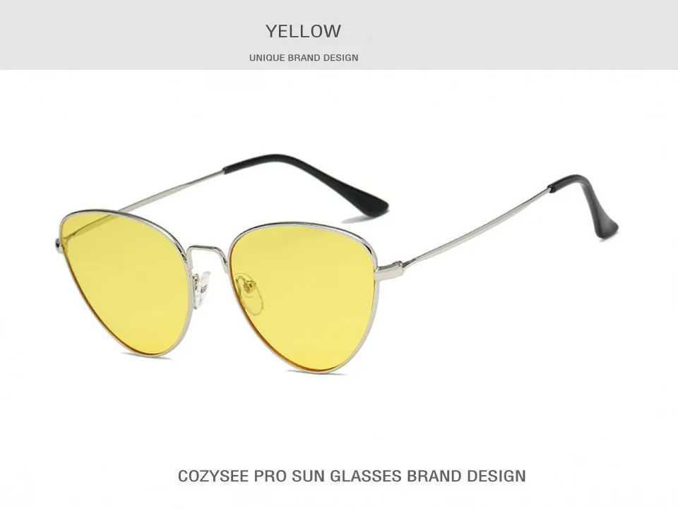 tinted sunglasses (5)