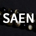 SAEN Store