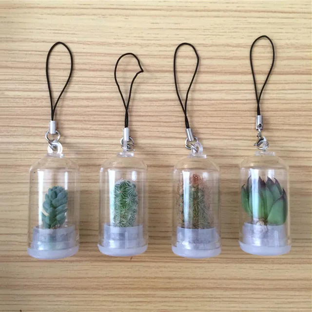 lucky drifting bottle succulent plants micro landscape car pendant