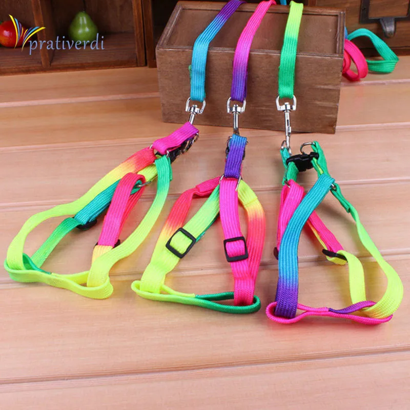 

prativerdi 1 PCS Adjustable Rainbow color Pet Dog Leash Small Puppy Cat Rabbit Kitten Nylon Leash Harness Collar Lead