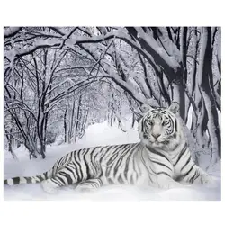 DIY 5D алмазов картина полный дрель круглый белый тигр в снегу картины для выкладывания камнями украшения дома стежка мозаика