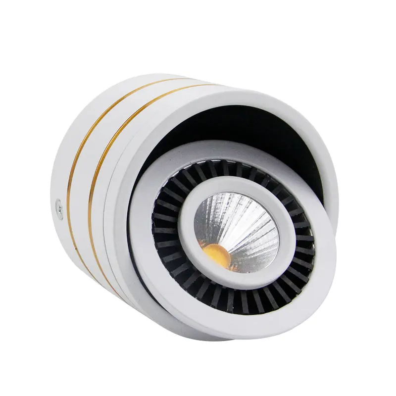 LED surface mounted downlight  (2)