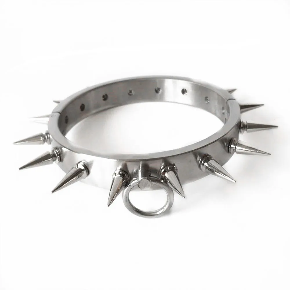 collar  (6)