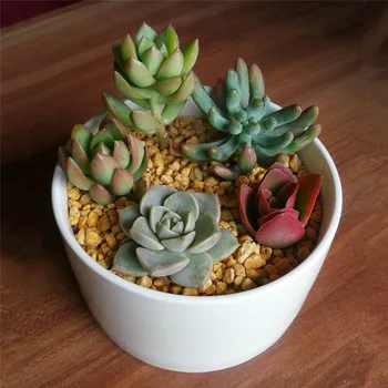 

Simple white ceramic creative Mini desktop short straight tube Zakka meat pot factory direct wholesale