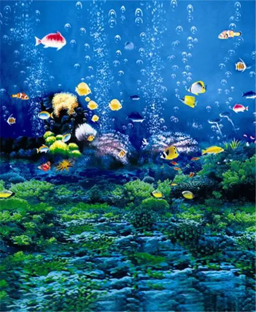 My Image 57