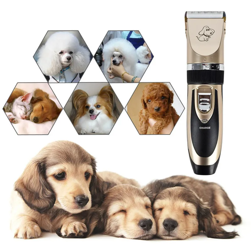 dog grooming kit for sale