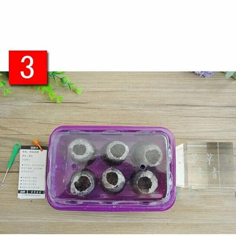 10/20/50Pcs Jiffy Peat Pellets Seed Starting Plugs Seeds Starter Pallet Seedling Soil Block Pro Garden Tools Easy To Use 30mm