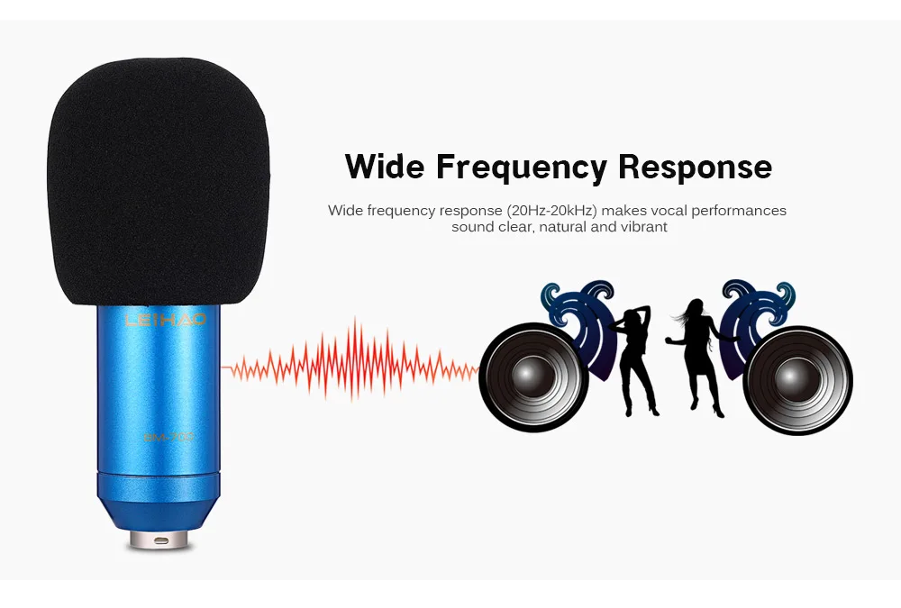 BM-700 конденсаторный звук Запись микрофон с подвесом для Радиовещания микрофон для пения PK BM-800