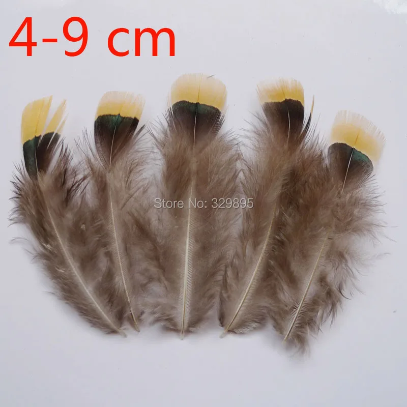 P1030453