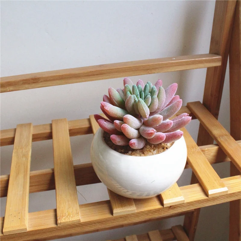 9043513889_98600638