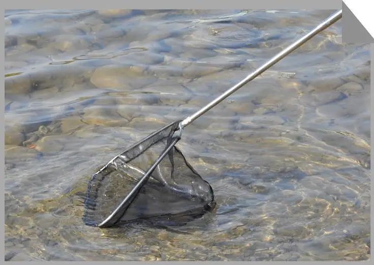 

Portable Folding Stainless Steel Fly Fishing Net Brail Triangular Frame Carp Fishing Landing Net Fish Trap 1.8m,2.1m,2.5m,3m,4m