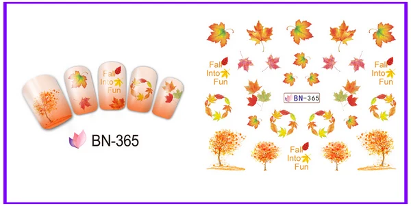 BN365