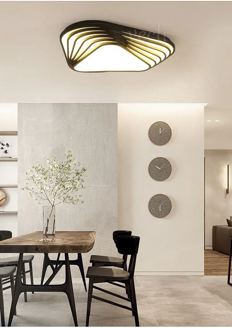 ceiling light (2)