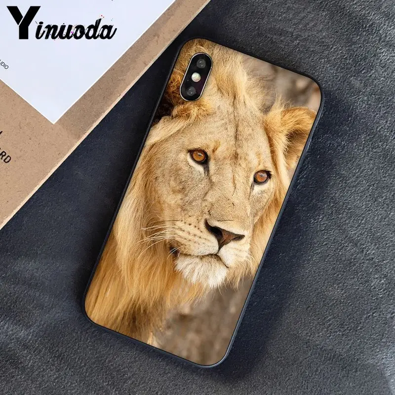 Yinuoda Lion tiger Модный милый животный черный чехол для телефона чехол для Apple iPhone 8 7 6 6S Plus X XS MAX 5 5S SE XR чехлы - Цвет: A13