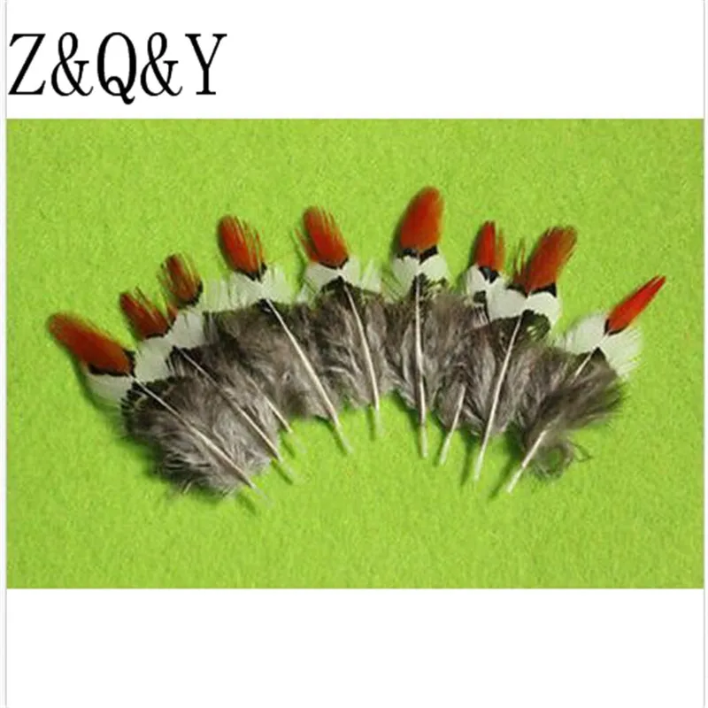Z & Q Y Природный 25 виды перья фазана 20 PcsDIY перо Jewelry аксессуары для макияжа