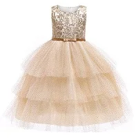 Robe de soirée tutu brodée de fil de fille