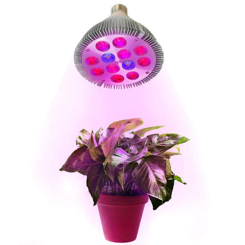BEYLSION Full Spectrum LED Grow Light Lampada E27 PAR38 PAR30 PAR20 Indoor Plant Lamp Flowering Hydroponics System IR UV Garden  (12)