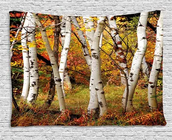 

Fall Decor Tapestry White Fall Birch Trees with Autumn Leaves Growth Wilderness Ecology Calm View, Wall Hanging for Bedroom