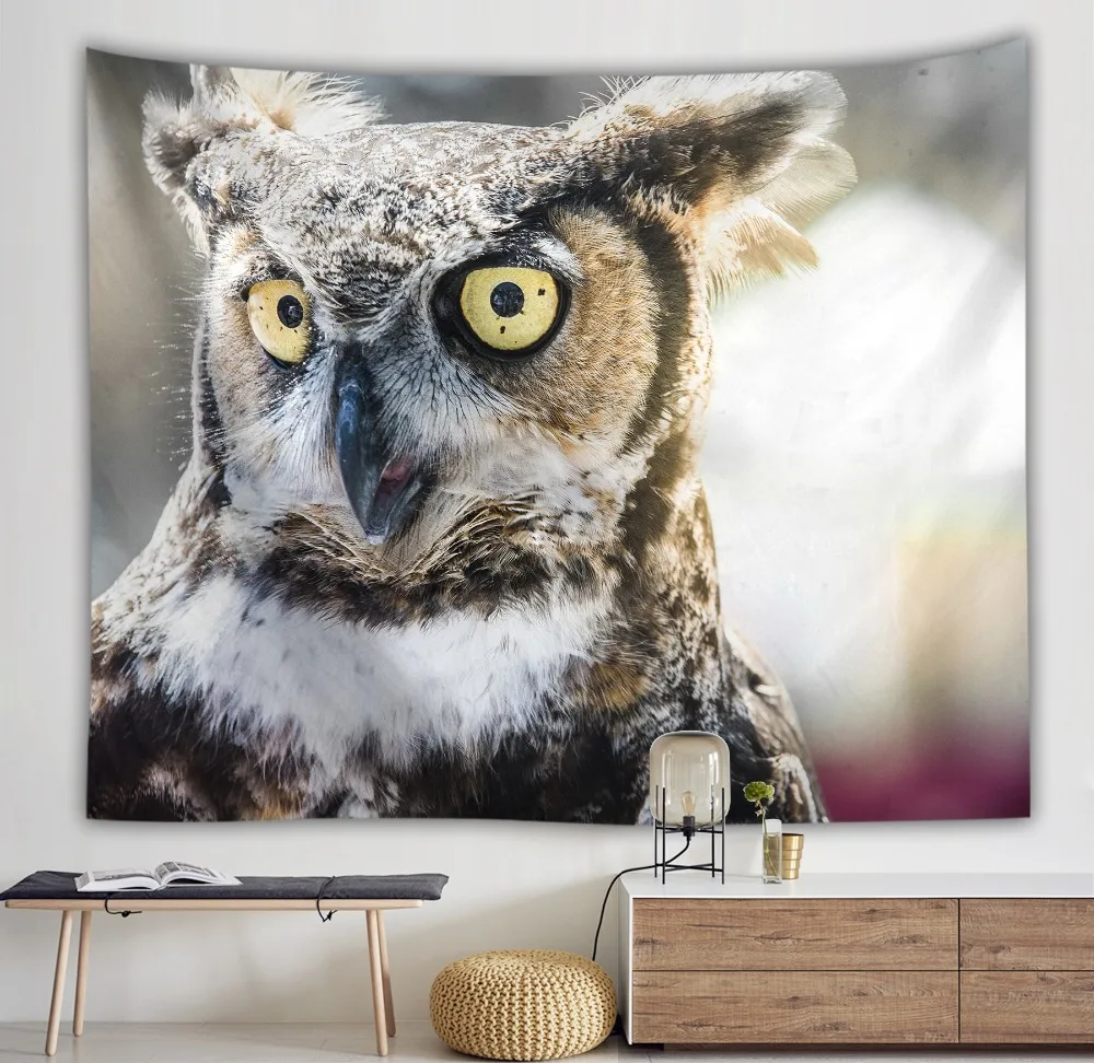 9069745986_132224802