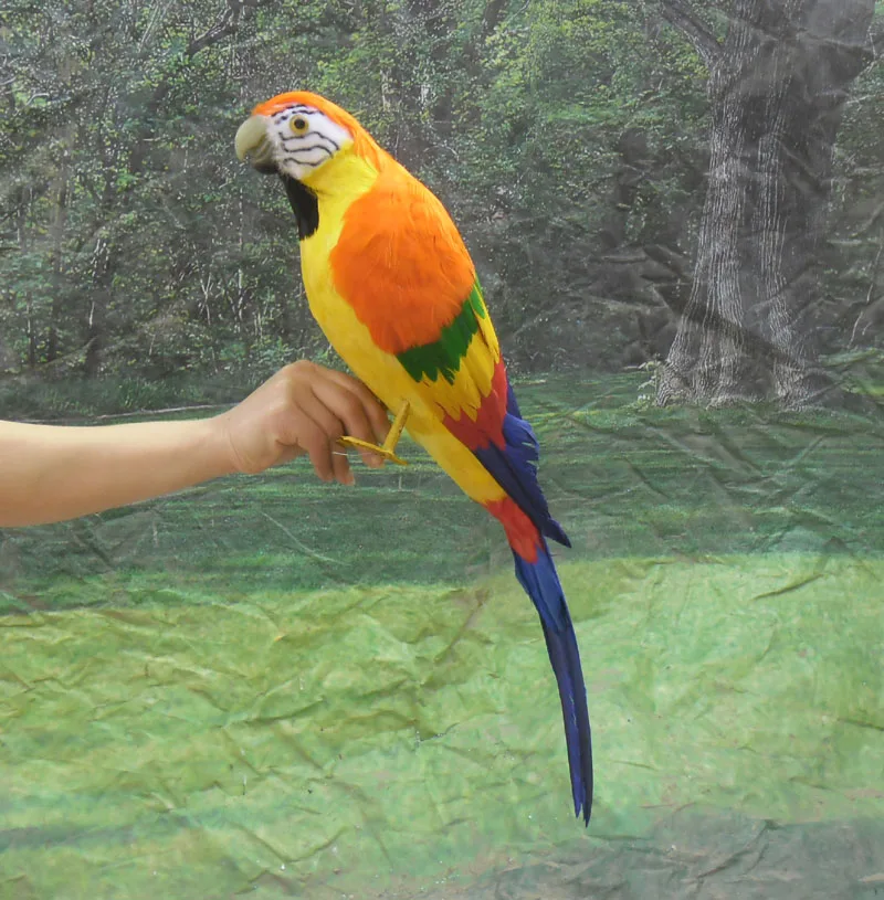 large 70cm simulation colourful Macaw parrot model toy,plastic foam & feathers bird parrot,Home