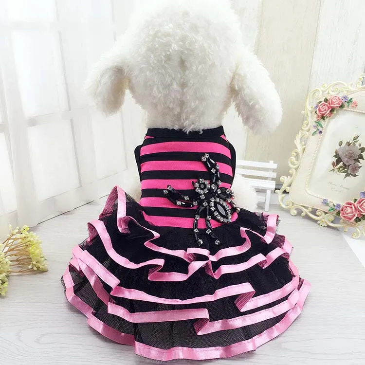 New Dog Clothes Pet Apparel Puppy Dog Dress Fashion Striped & Spider Dresses for Small Medium Dogs Wholesale6