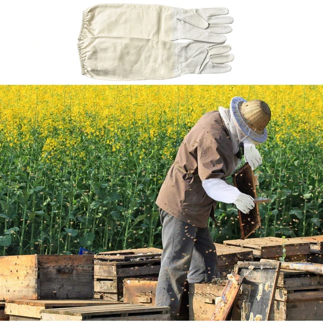 Dlkklb 1 Pár Méhészeti Kesztyűbőr Lélegző Anyagú Méheszközök Univerzális Modell Vászon Kesztyű Vágott Mézkést Árusítunk - Image 6