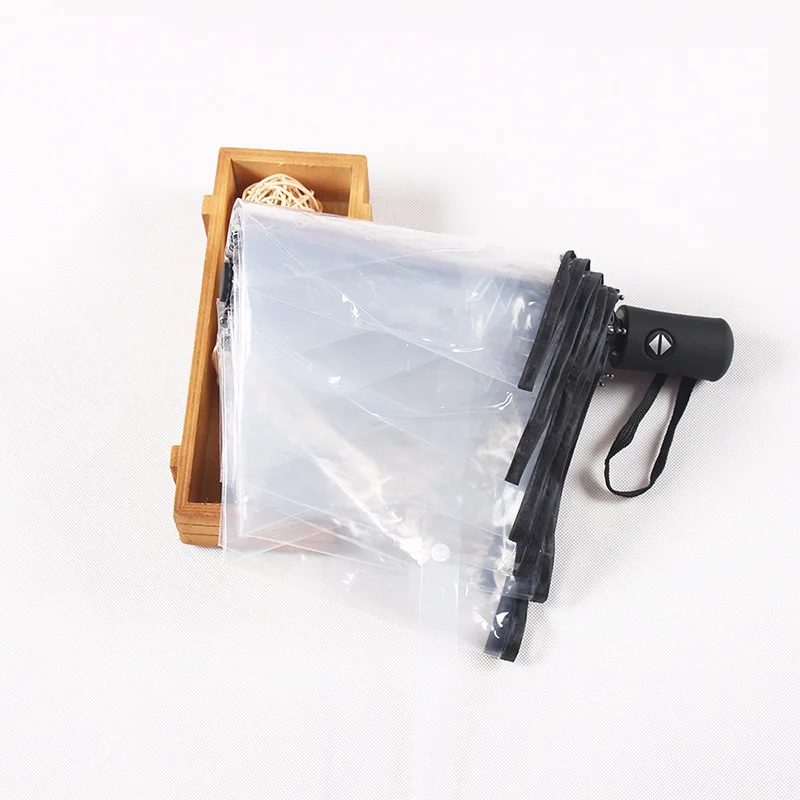 clear-umbrella (5)