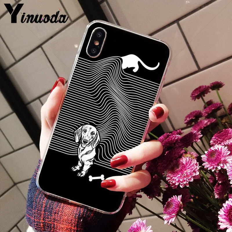 Animals Dogs Dachshund