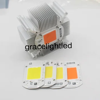

50W full spectrum 380-840nm white warm white LED Floodlight COB Chip 110V 220V Input Integrated Smart IC Driver+heatsink