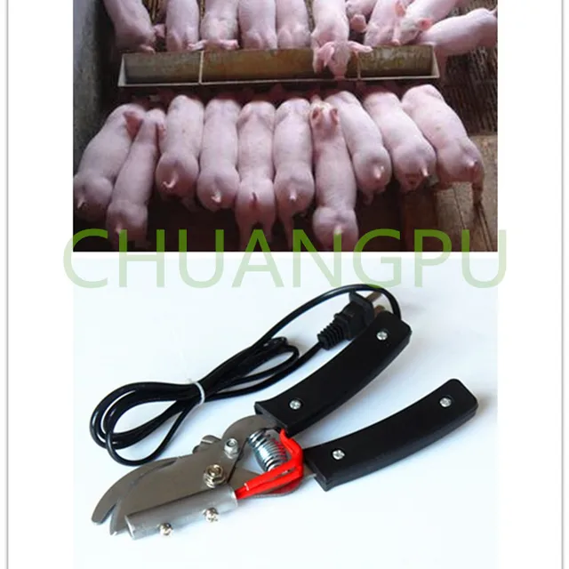 Stainless Steel Pig Docking Forceps, Piglet Tail Cutter, Pig Tail