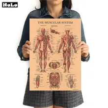 Структура мышечной системы человека HD винтажный бумажный плакат Бар домашний декор ретро крафт-бумага живопись 42x30 см