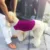 Urijk Pets Puppy Anti Anxiety Jacket Costume Cotton Pet Emotional