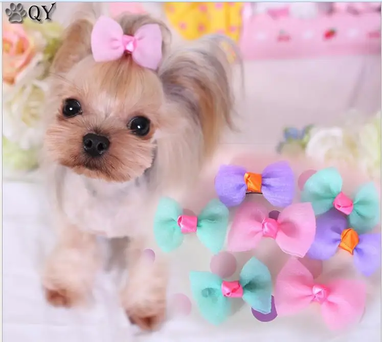 puppy bows qy pet products grooming bows ribbon wholesale hair accessories pet hair tie puppy bows qy pet products grooming bows ribbon wholesale hair accessories pet hair tie