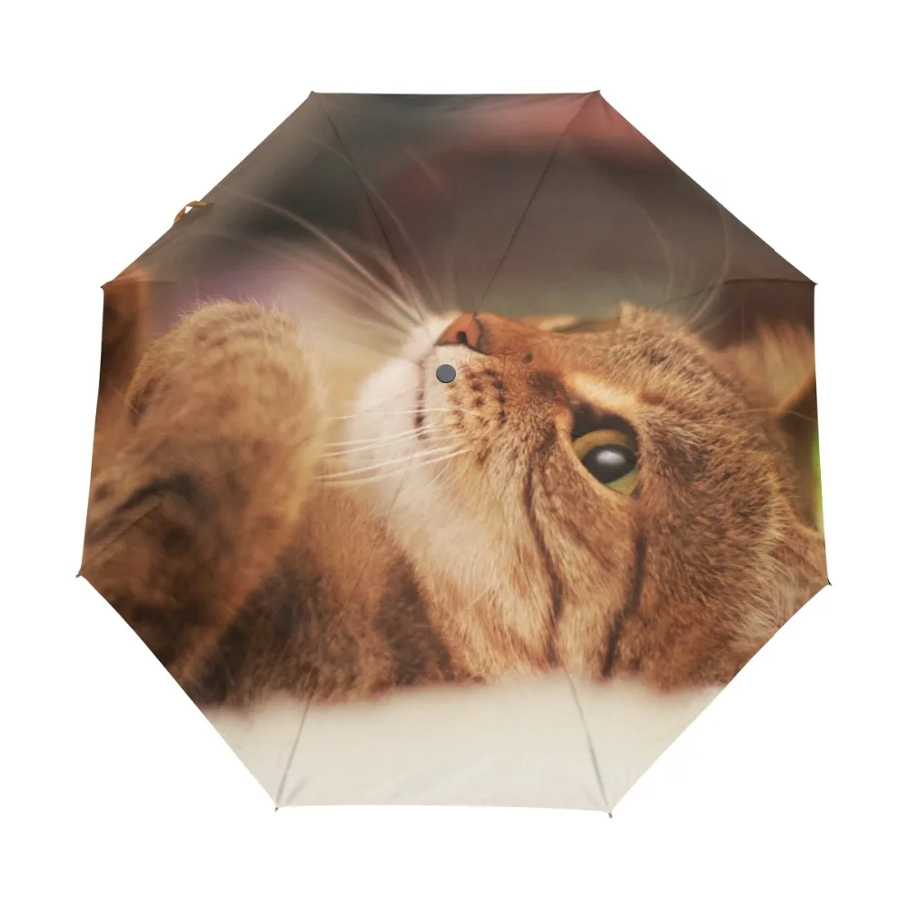 Cute Cat Printed Fashion Fully Automatic Umbrella Women Umbrellas