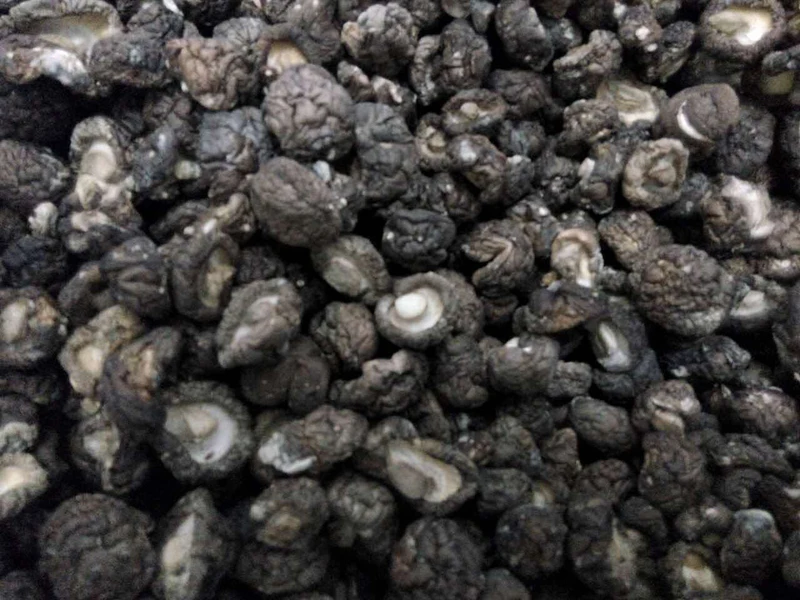 

Free shipping 0.8kg Lentinus edodes bulk packing Good taste Dried shiitake / shiitake mushroom / bulk dried shiitake mushrooms