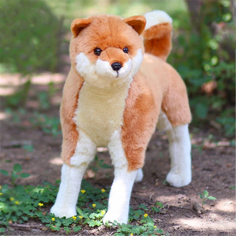 akita teddy bear