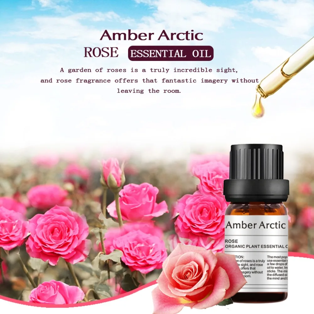 Rose essential oil (4)