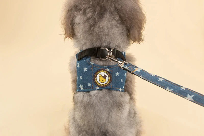 dog clothes (7)