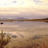 Fjord Iceland Poster Print (36 x 13)