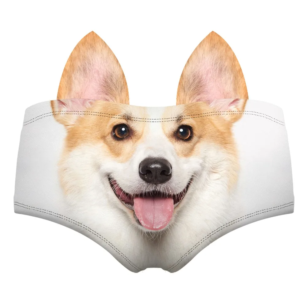 55105 corgi wiz back