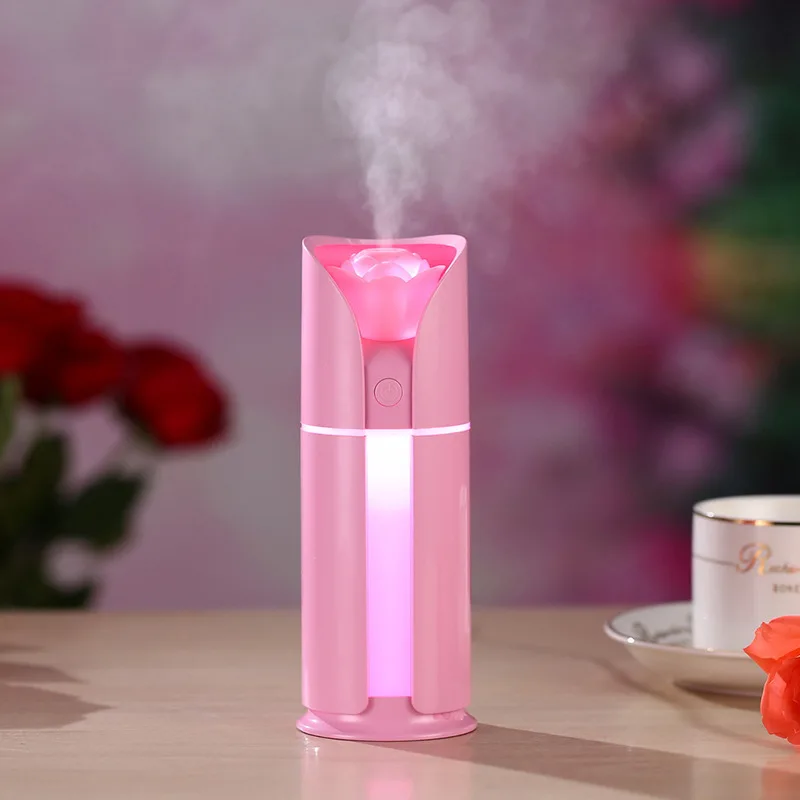 facial steamer5