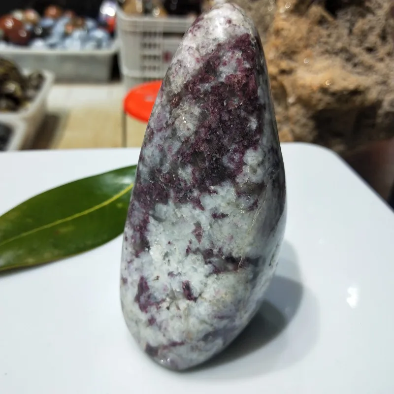 conew_img20190309160552